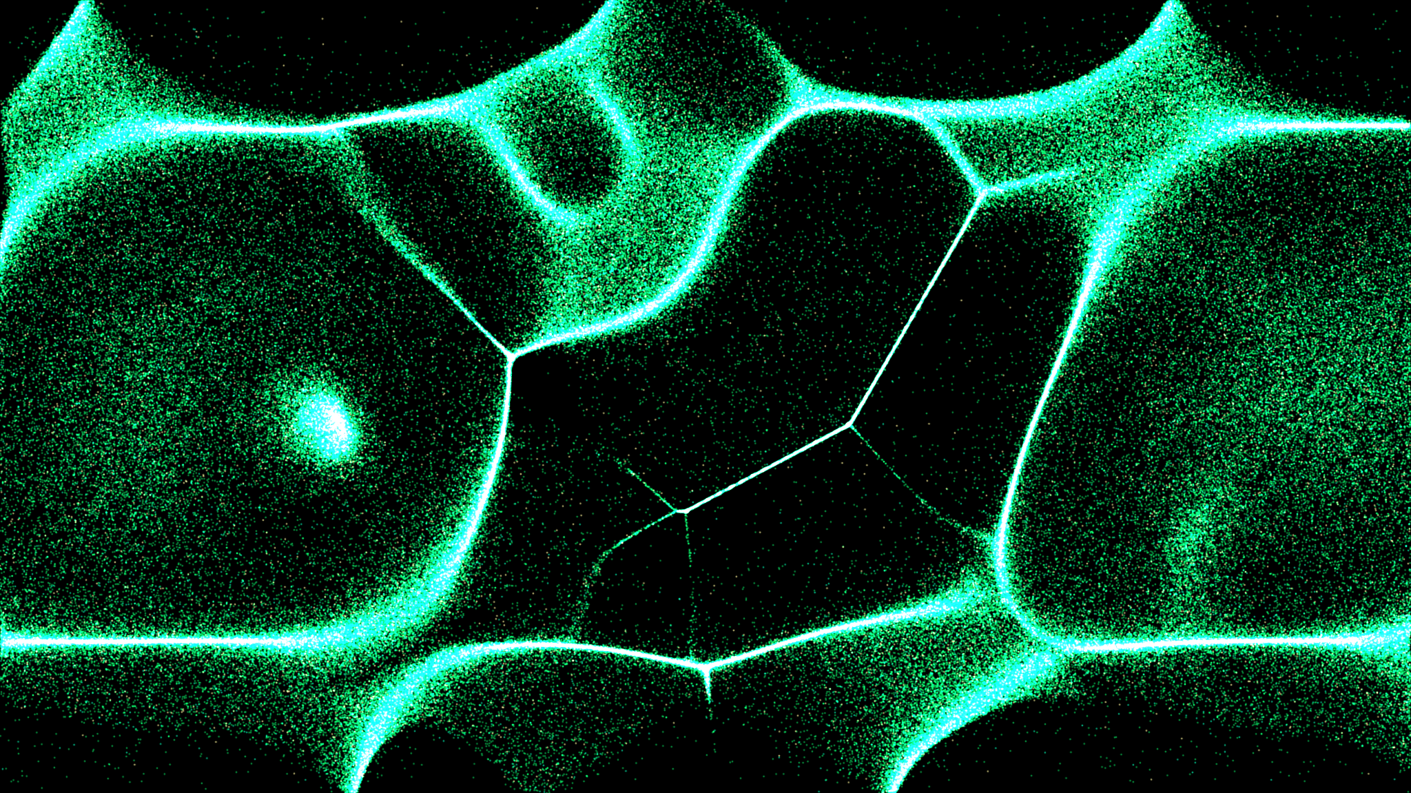 Universal Basic Income