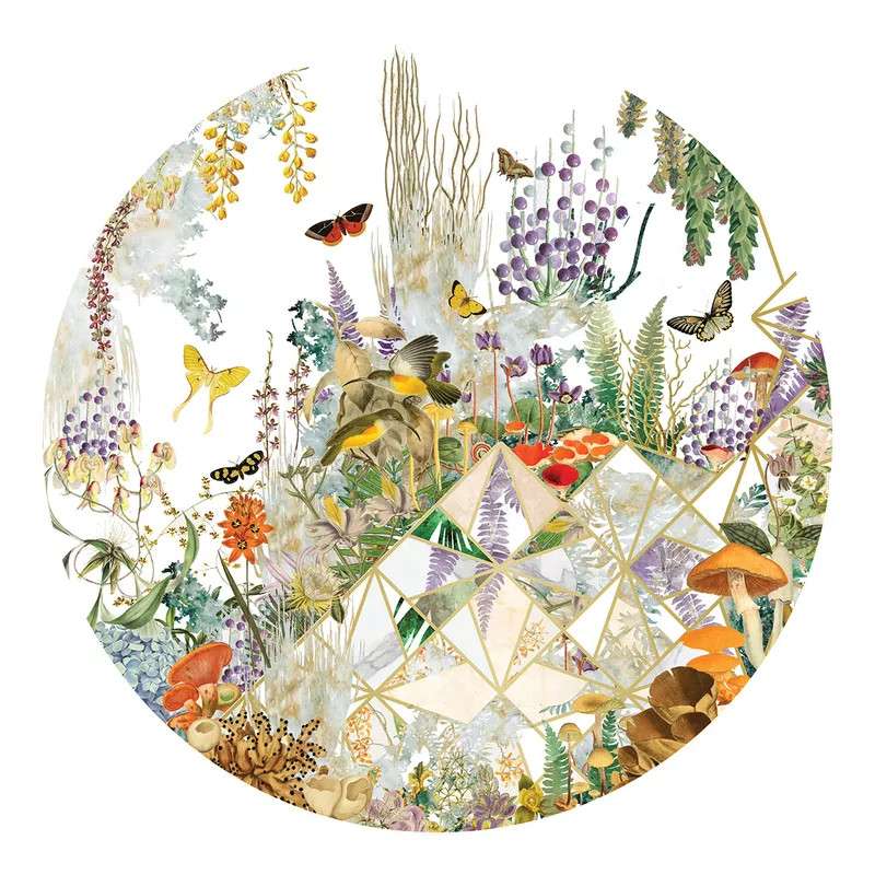 Biodiversity as a model for ecosystem resilience